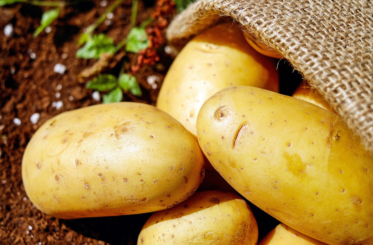 Sacks of potatoes
