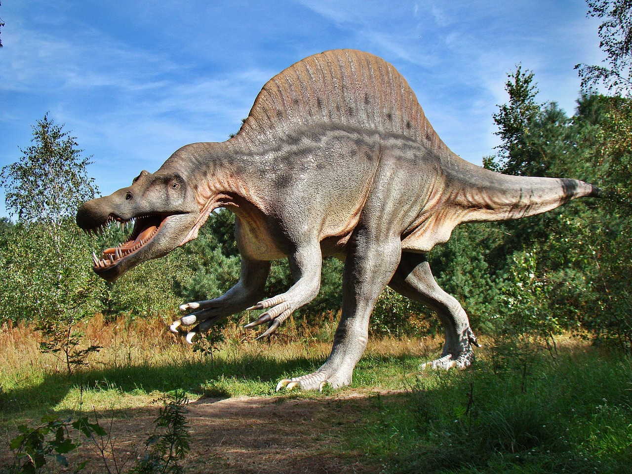 A dinosaur
