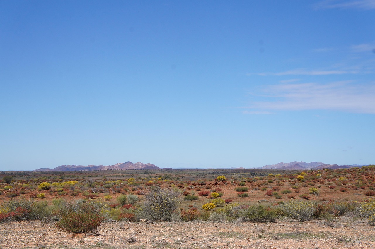 The Australian outback