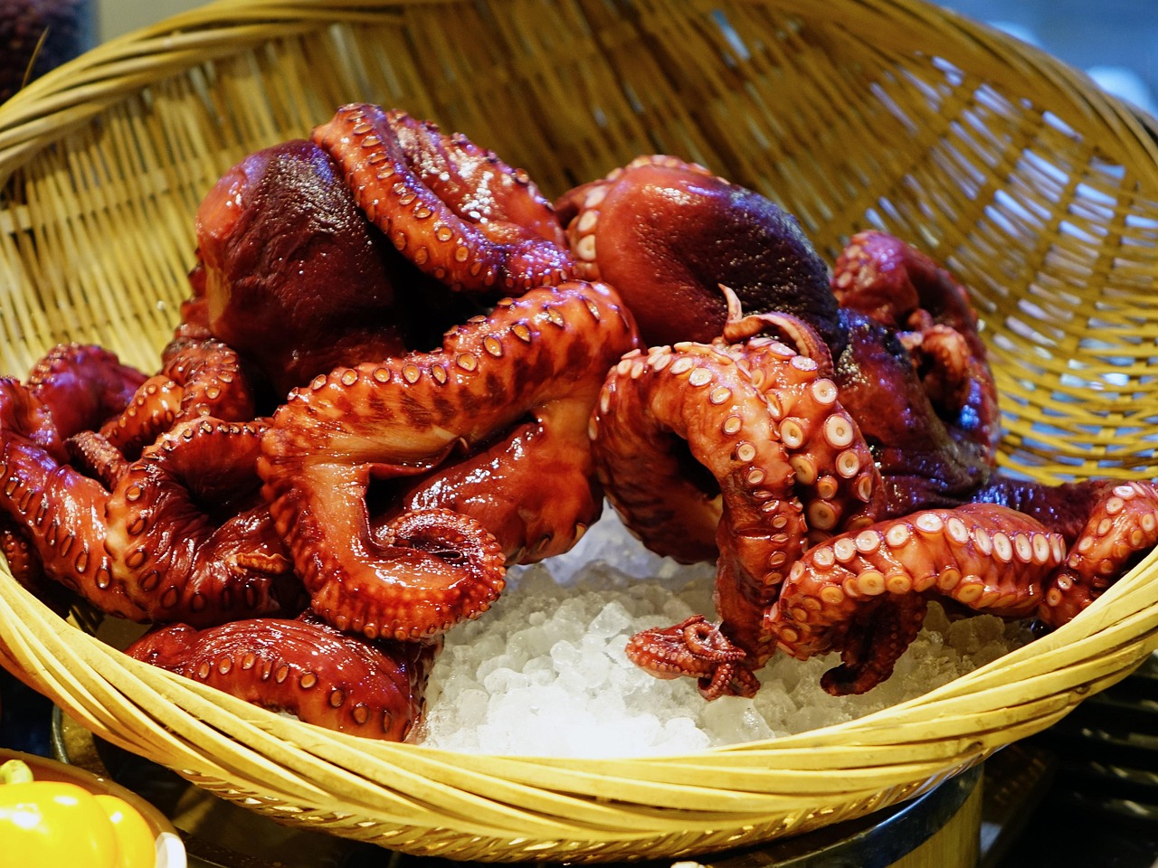 An octopus