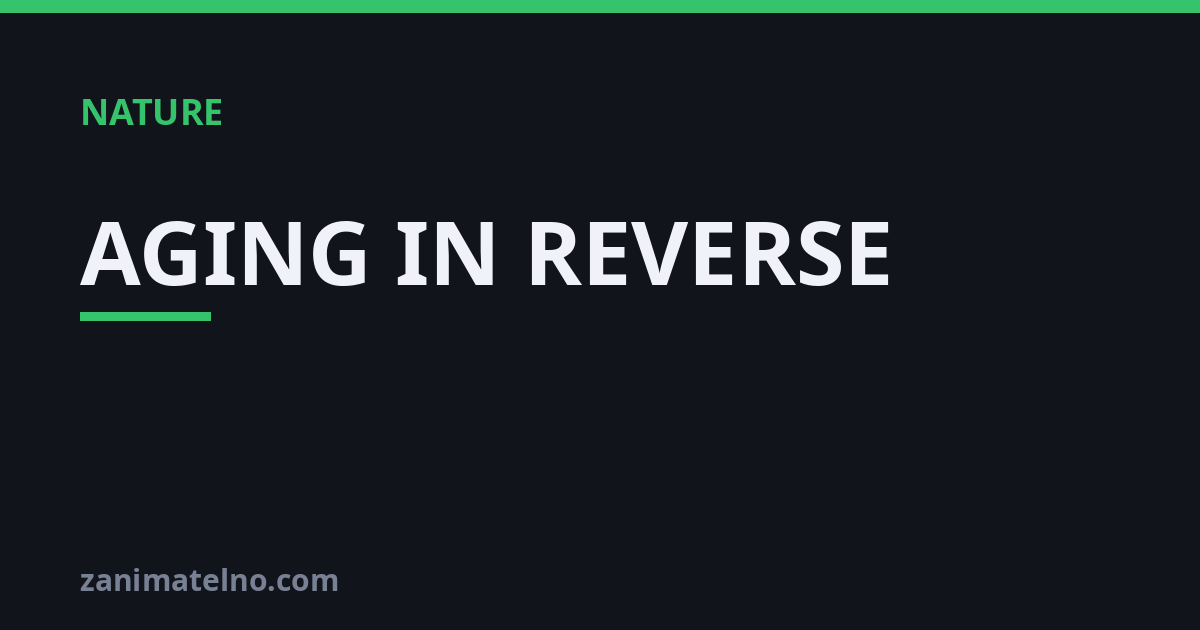 AGING IN REVERSE