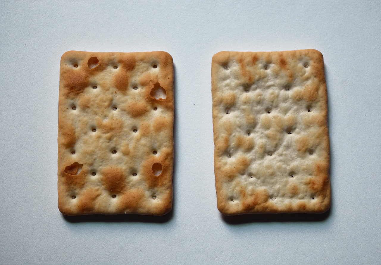 Two square crackers with rows of docking holes